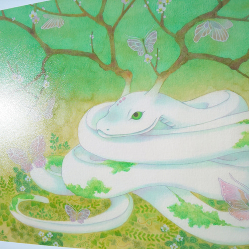 白蛇の絵2L絹目写真：【春告白蛇】 絵画 梅和えみ 通販 17364880