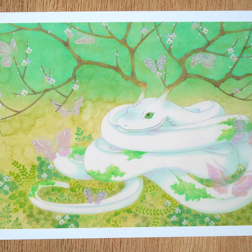 白蛇の絵2L絹目写真：【春告白蛇】 絵画 梅和えみ 通販 17364880