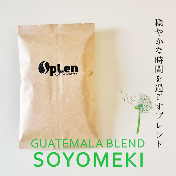 グアテマラブレンド「SOYOMEKI」［100g］/スペシャルティコーヒー/自家焙煎コーヒー豆/粉 1枚目の画像