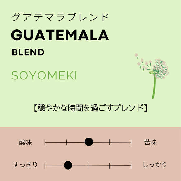 グアテマラブレンド「SOYOMEKI」［100g］/スペシャルティコーヒー/自家焙煎コーヒー豆/粉 2枚目の画像