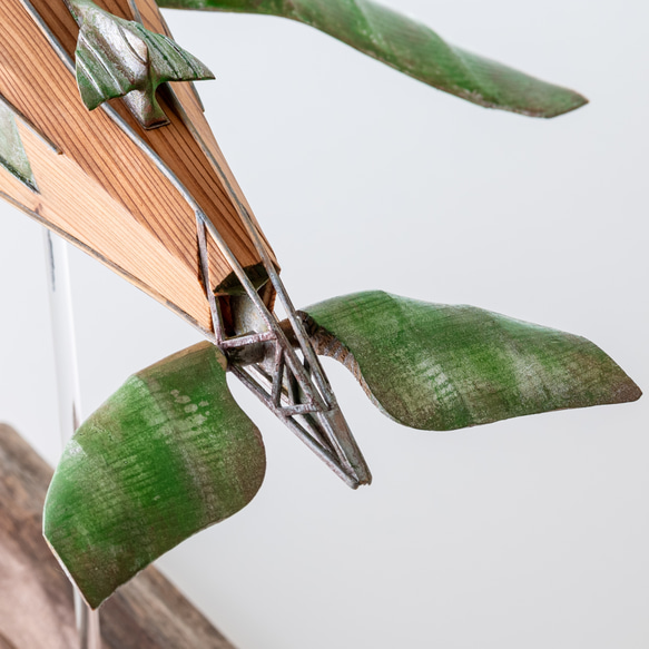 ザトウクジラの小型飛行機(杉) ザトウクジラの小型飛行機(杉) N2580516927(19800円)