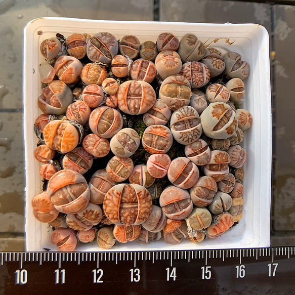 化石 C-40 C-30 C-17C-40・RC-40・白砕石など各種販売｜川崎建材（東京