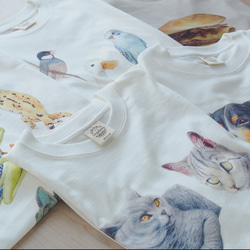 【数量限定】ネコ好きさんのためのオーガニックコットン半袖Tシャツ 12枚目の画像