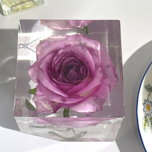 本物の薔薇の片口立方体キューブ/植物標本/固まるハーバリウム