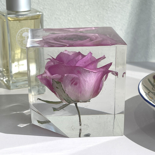 本物の薔薇の片口立方体キューブ/植物標本/固まるハーバリウム