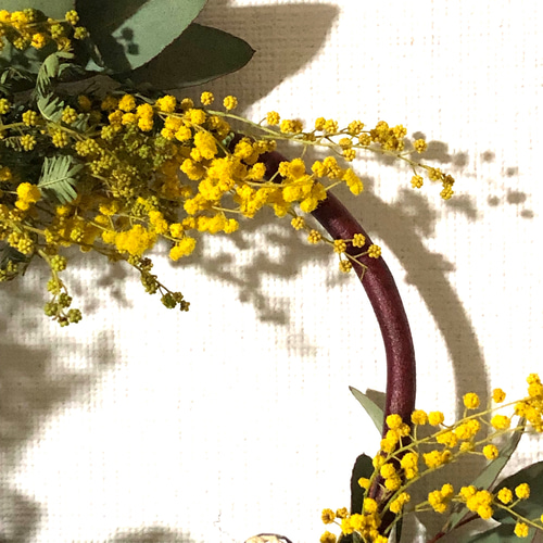 特価】ミモザ ユーカリ リース 22cm ＊ シャビー＆ナチュラル ムーン