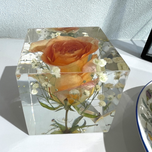 本物の薔薇の片口立方体キューブ/植物標本/固まるハーバリウム/レジンフラワー /オレンジの薔薇と霞草/348g 6枚目の画像