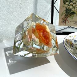 本物の薔薇の片口立方体キューブ/植物標本/固まるハーバリウム/レジンフラワー /オレンジの薔薇と霞草/348g 4枚目の画像