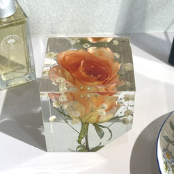 本物の薔薇の片口立方体キューブ/植物標本/固まるハーバリウム/レジンフラワー /オレンジの薔薇と霞草/348g 7枚目の画像