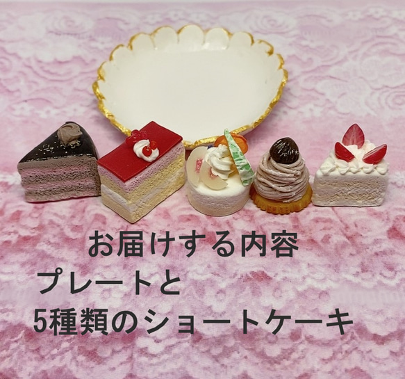 プチケーキセット　花形のプレートにのせた５種類のショートケーキ　ミニチュア 2枚目の画像