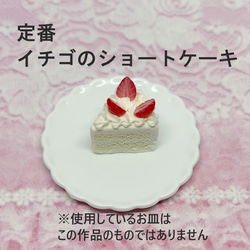 プチケーキセット　花形のプレートにのせた５種類のショートケーキ　ミニチュア 3枚目の画像