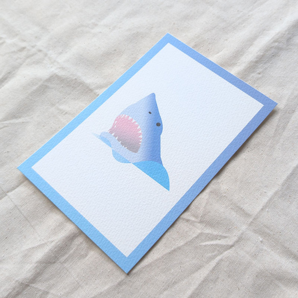 春の福袋 ポストカード インテリア 雑貨 海の仲間 メッセージカード ポスター 6枚目の画像