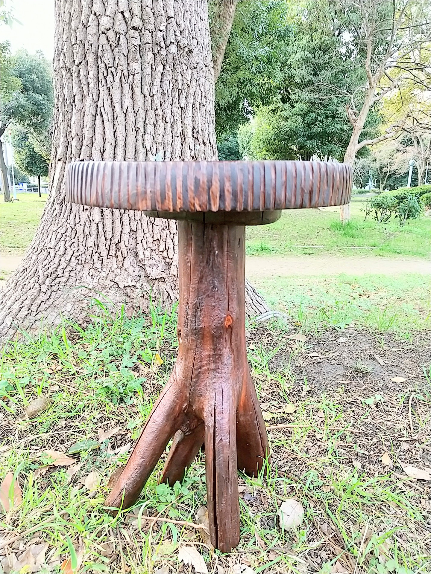 流木Stool (mini table) 12,320円