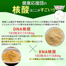 核酸 DNA RNA粒 1〜12ヶ月分 サプリ 健康応援団 サプリメント 3枚目の画像