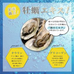 カキ肉エキス粒 カキエキス サプリメント 健康応援団 サプリ 公式 タウリン 牡蠣エキス 亜鉛 2枚目の画像