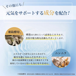 カキ肉エキス粒 カキエキス サプリメント 健康応援団 サプリ 公式 タウリン 牡蠣エキス 亜鉛 3枚目の画像