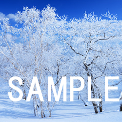 霧氷の美ヶ原高原　冬景色　インテリアアートポスター　061 4枚目の画像