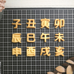 20サイズ「漢字/丸ゴシック/十二支」 イジェクタ式クッキー型 1枚目の画像