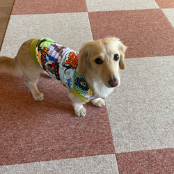 アメコミ風　ダックス柄　ロングサイズ　タンクトップ　ペットウエア　愛犬服　犬服 11枚目の画像