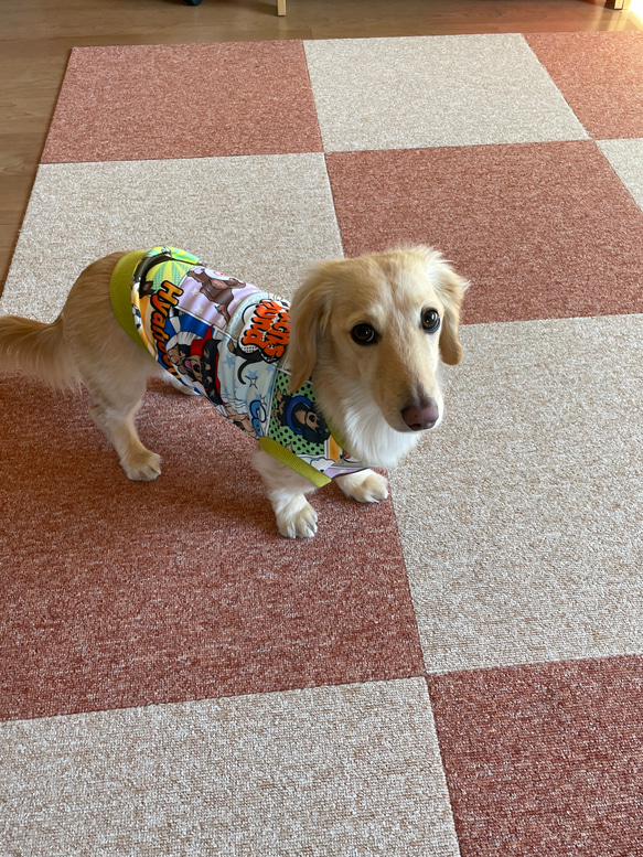 アメコミ風　ダックス柄　ロングサイズ　タンクトップ　ペットウエア　愛犬服　犬服 11枚目の画像