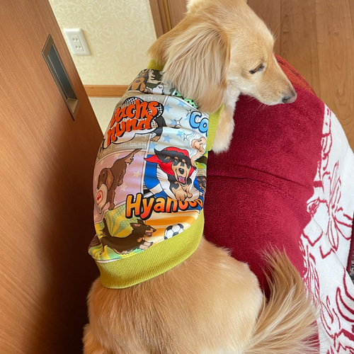 犬服ハンドメイド タンクトップ'(パセリ) - 犬服・アクセサリー