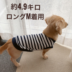 アメコミ風　ダックス柄　ロングサイズ　タンクトップ　ペットウエア　愛犬服　犬服 13枚目の画像