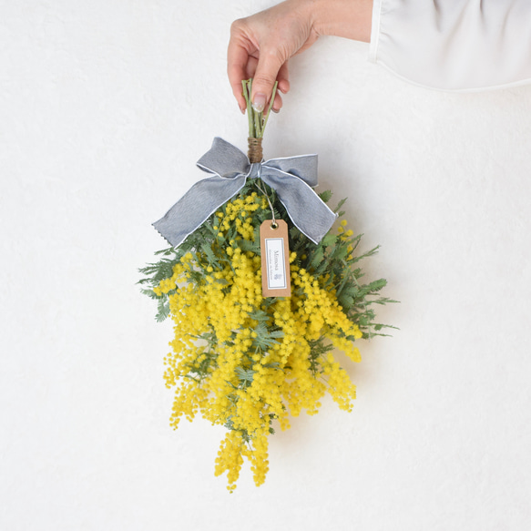 販売は4月上旬まで＊自家製切りたてミモザ！フレッシュスワッグ《生花からドライフラワーへ》Creema限定 4枚目の画像