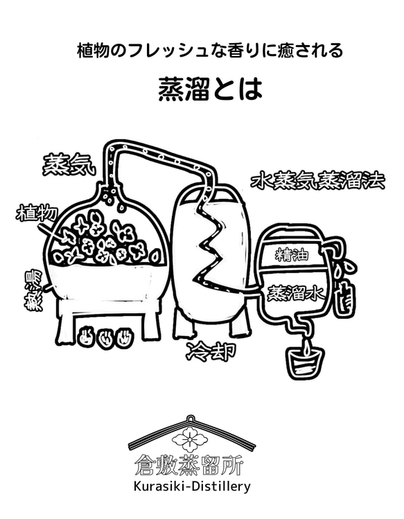 瀬戸内れもんの蒸留水ルームフレグランス30ml 3枚目の画像