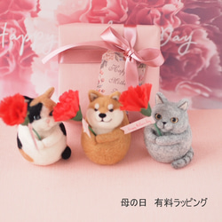 【予約販売】母の日・Happy Mother's Day ・羊毛フェルト 柴犬　 5枚目の画像