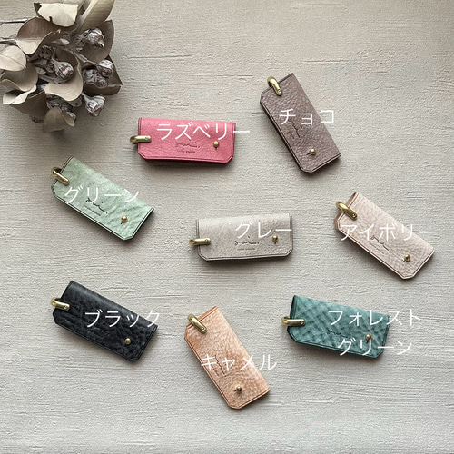 EKEN H4 ジンバル 専用ケース付き✨美品 EKEN H4 ジンバル 専用ケース付き✨美品 EKEN H4 ジンバル 専用ケース