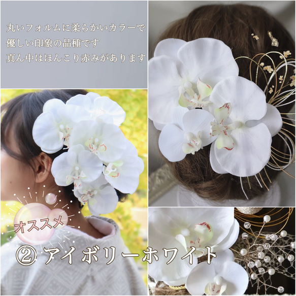 ◆早割◆結婚式、卒業髪飾り　水引飾り◆胡蝶蘭と水引の髪飾り 2枚目の画像