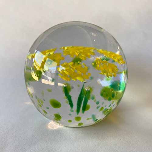 菜の花のペーパーウエイト 2種類 立体・オブジェ ガラス日和 通販