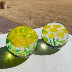 菜の花のペーパーウエイト 2種類 立体・オブジェ ガラス日和 通販