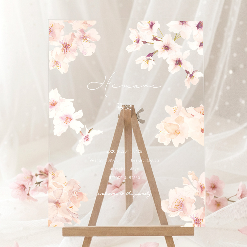 桜の命名書 アクリル   オーダーメイド 名入れ 透明 ベビーポスター クリア