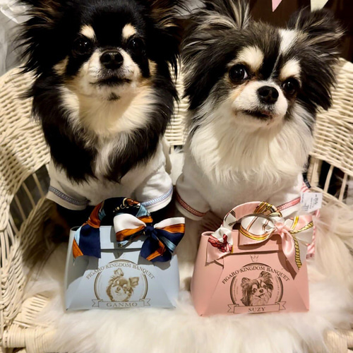 オーダーメイド！うちの子画像で作るミニラッピングバッグ 犬