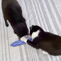 OSAKANAキッカー　北欧柄　kippis  猫のおもちゃ　猫のインテリア 10枚目の画像