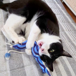 OSAKANAキッカー　北欧柄　kippis  猫のおもちゃ　猫のインテリア 16枚目の画像