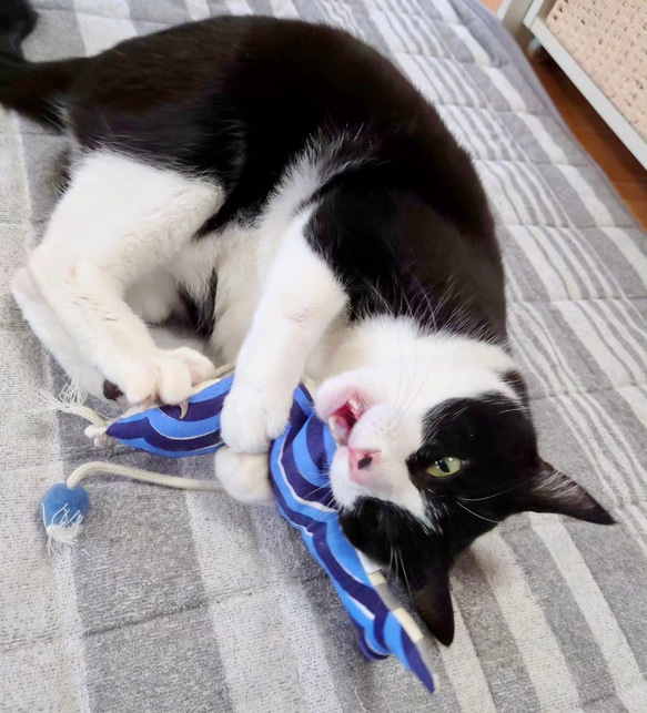 OSAKANAキッカー　北欧柄　kippis  猫のおもちゃ　猫のインテリア 16枚目の画像