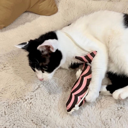 OSAKANAキッカー　北欧柄　kippis  猫のおもちゃ　猫のインテリア 15枚目の画像