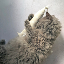 OSAKANAキッカー　北欧柄　kippis  猫のおもちゃ　猫のインテリア 3枚目の画像