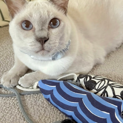 OSAKANAキッカー　北欧柄　kippis  猫のおもちゃ　猫のインテリア 20枚目の画像