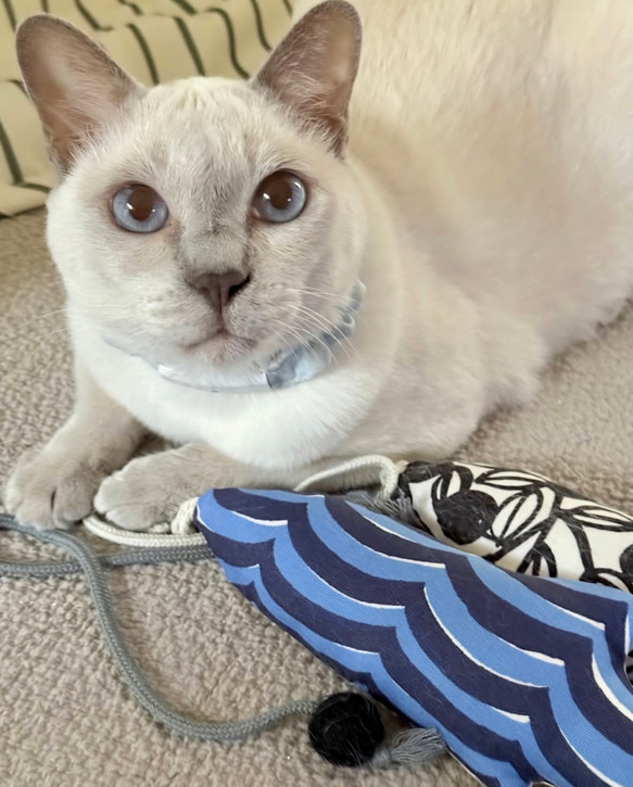 OSAKANAキッカー　北欧柄　kippis  猫のおもちゃ　猫のインテリア 20枚目の画像