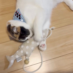 OSAKANAキッカー　北欧柄　kippis  猫のおもちゃ　猫のインテリア 8枚目の画像