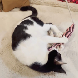 OSAKANAキッカー　北欧柄　kippis  猫のおもちゃ　猫のインテリア 9枚目の画像