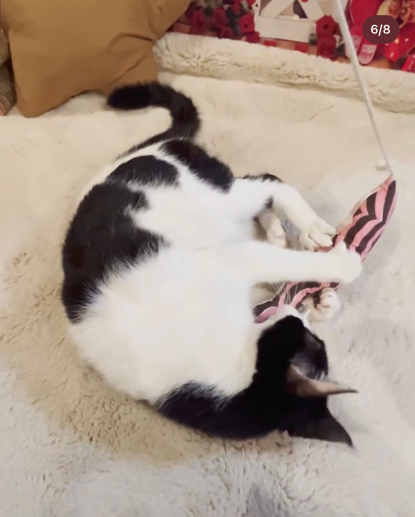 OSAKANAキッカー　北欧柄　kippis  猫のおもちゃ　猫のインテリア 9枚目の画像