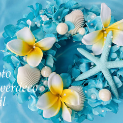 マリンカラー ハーバリウム 貝殻とサンゴ ハーバリウム・植物標本 京都