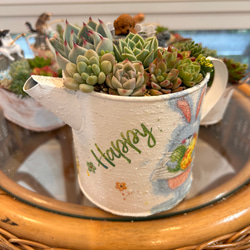 お正月飾り 店舗 玄関 お年賀 プレゼント 寄せ植え 多肉植物 虎