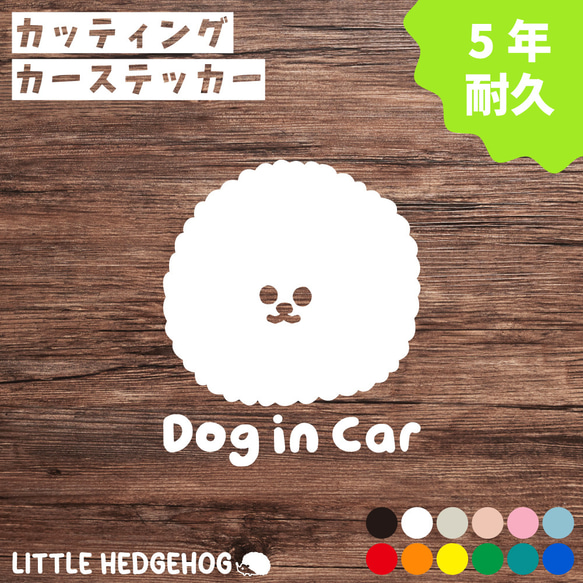 ビジョンフリーゼ　ドッグインカー　dog in car　犬　いぬ 1枚目の画像