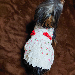 着せやすい犬服♪いちごと薔薇のバッスルスカートワンピース♪オーダーメイドで！ 1枚目の画像