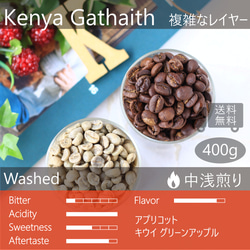 ケニア ガタイティ 400g "ジューシーなデザートタイプ"  複雑な表情 トップスペシャルティコーヒー 1枚目の画像